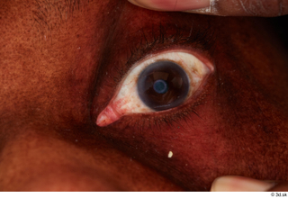 HD Eyes Eilane Prince eye eye texture eyelash iris pupil…